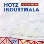 Hotz industriala