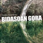 Bidasoan gora